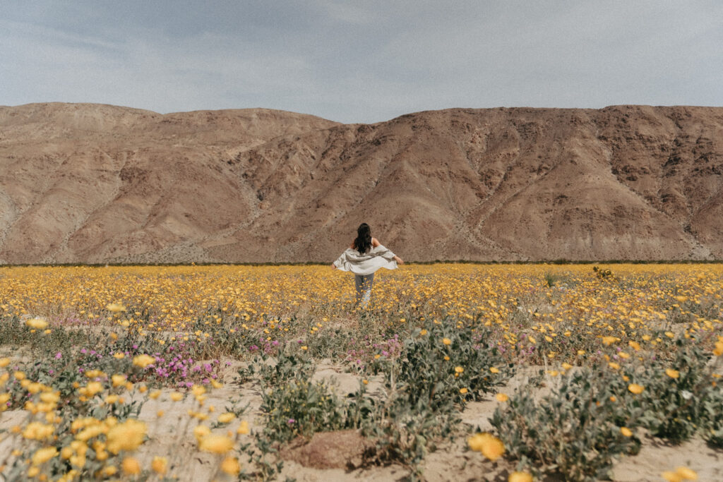 a girl walking in a field of wild flowers in Anza-Borrego Desert.
